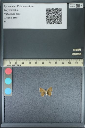 Media type: image;   Entomology 192388